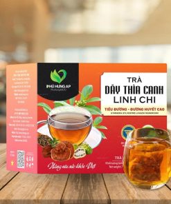 Trà Dây Thìa Canh Linh Chi