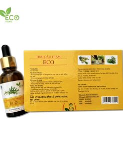 Tinh dầu tràm tự nhiên ECO – Hỗ trợ giảm ho, cảm cúm, sổ mũi, cảm lạnh (Lọ 30ml)