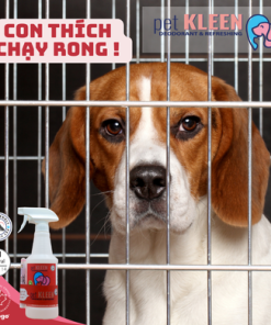 Bộ vi sinh khử mùi thú cưng Pet Kleen (1 chai 500ml + 1 ống 5ml)