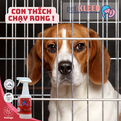 Bộ vi sinh khử mùi thú cưng Pet Kleen (1 chai 500ml + 1 ống 5ml)