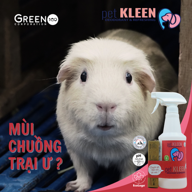 Bộ vi sinh khử mùi thú cưng Pet Kleen (1 chai 500ml + 3 ống 5ml)