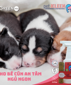 Bộ vi sinh khử mùi thú cưng Pet Kleen (1 chai 500ml + 3 ống 5ml)
