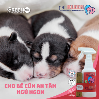 Bộ vi sinh khử mùi thú cưng Pet Kleen (1 chai 500ml + 3 ống 5ml)