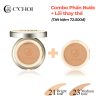 Combo phấn nước + lõi C’Choi Herbal DD Cushion