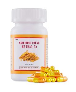 Thực phẩm bảo vệ sức khỏe nấm đông trùng hạ thảo – x3