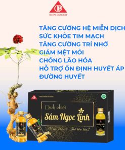Dịch chiết sâm ngọc linh hộp 05 chai – kèm túi
