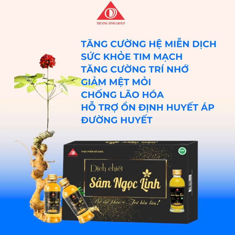 Dịch chiết sâm ngọc linh hộp 05 chai – kèm túi
