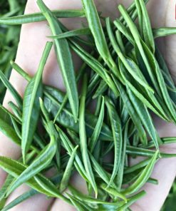 Trà Đinh Tâm Nõn