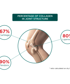 Thực phẩm bảo vệ sức khỏe xương khớp Genacol Original (90 Viên)
