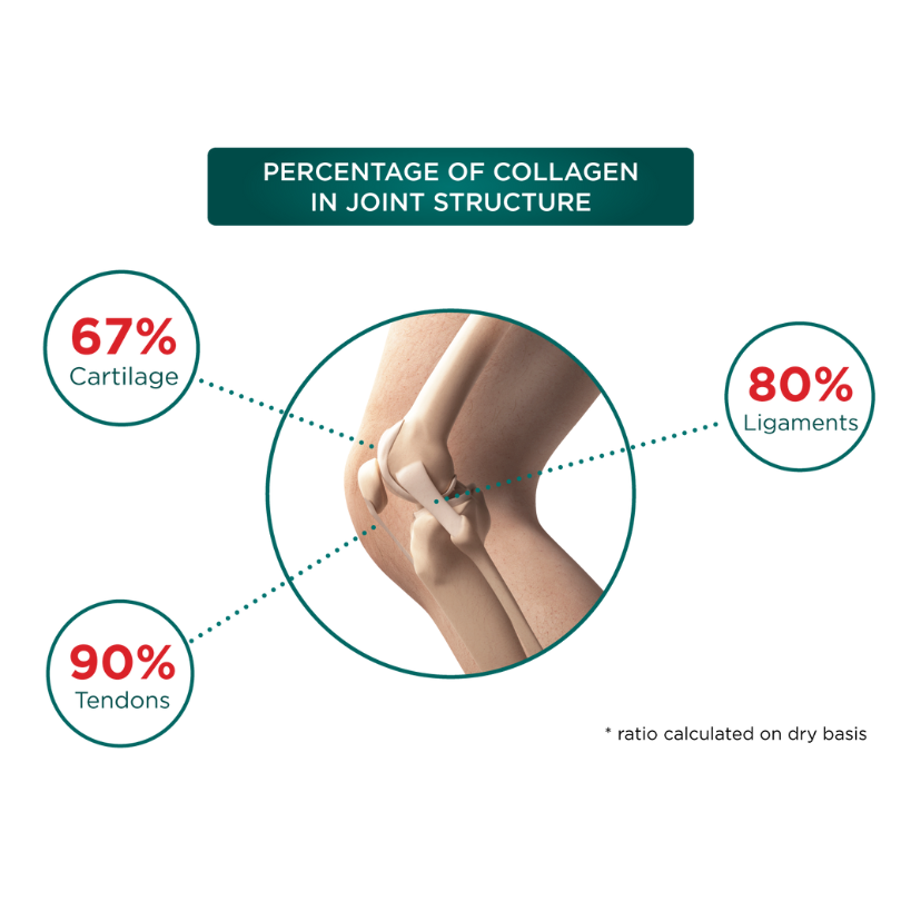 Thực phẩm bảo vệ sức khỏe xương khớp Genacol Original (90 Viên)