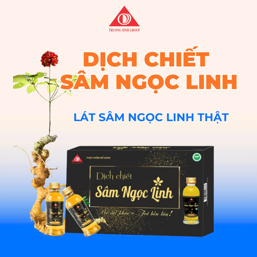 Dịch chiết sâm ngọc linh hộp 05 chai – kèm túi