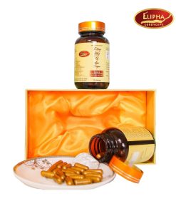 Viên nang Đông Trùng Hạ Thảo Sapa hỗ trợ bồi bổ sức khỏe, tăng cường sinh lực 28v