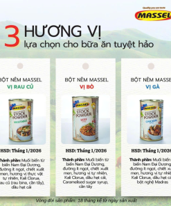 Bột nêm Cao cấp Massel vị rau củ 250g