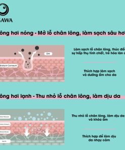 Máy xông hơi mặt nóng & lạnh cao cấp (OY-0181), hiệu Ogawa