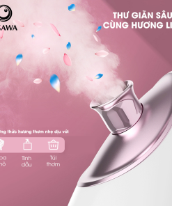 Máy xông hơi mặt nóng & lạnh cao cấp (OY-0181), hiệu Ogawa