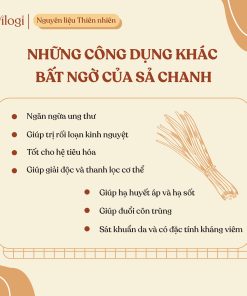 Tinh dầu Sả Chanh Oilogi – Giảm căng thẳng, xua đuổi muỗi và côn trùng (chai 10ml)