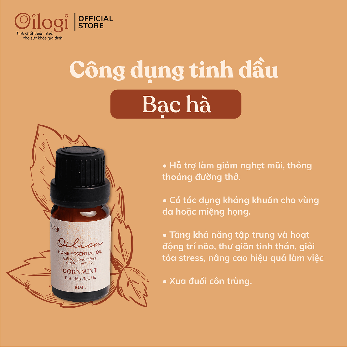 Tinh dầu Bạc Hà Oilogi – Giúp giảm viêm, ngăn ngừa mụn (chai 10ml)