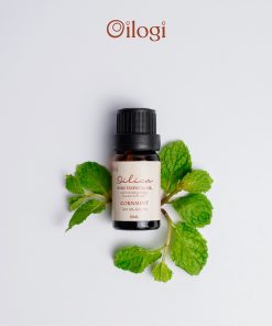 Tinh dầu Bạc Hà Oilogi – Giúp giảm viêm, ngăn ngừa mụn (chai 10ml)