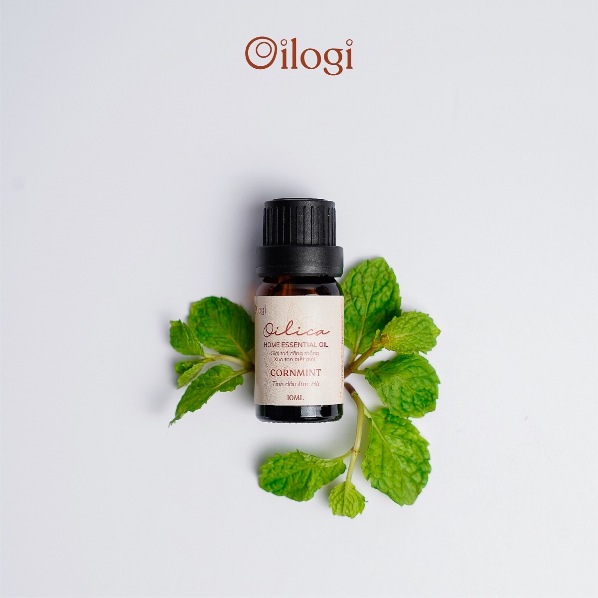 Tinh dầu Bạc Hà Oilogi – Giúp giảm viêm, ngăn ngừa mụn (chai 10ml)