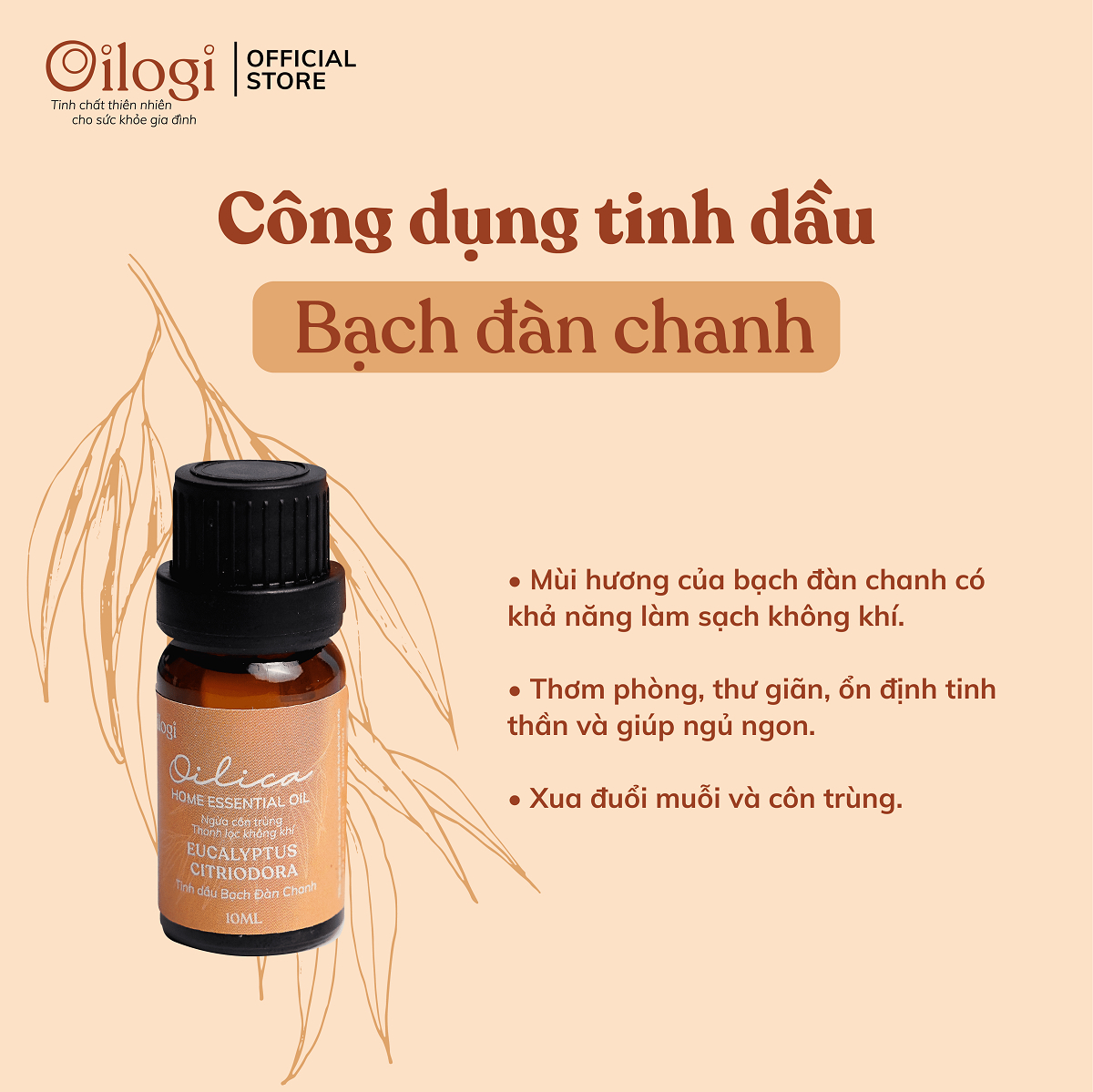 Tinh dầu Bạch Đàn Chanh Oilogi – Giúp giảm sưng côn trùng cắn, ngăn ngừa mụn (chai 10ml)