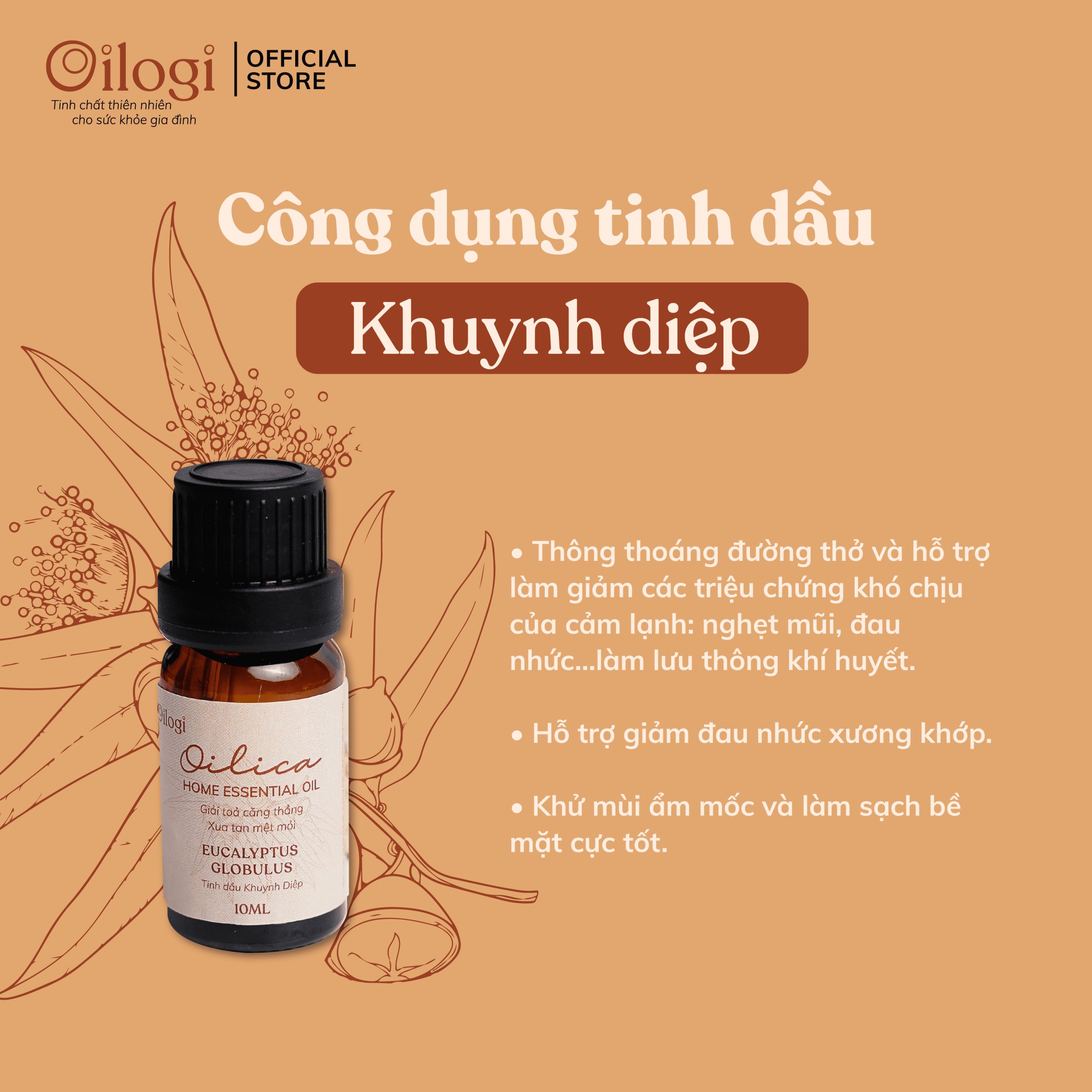 Tinh dầu Khuynh Diệp Oilogi – Giữ ấm, thông thoáng đường thở (chai 10ml)