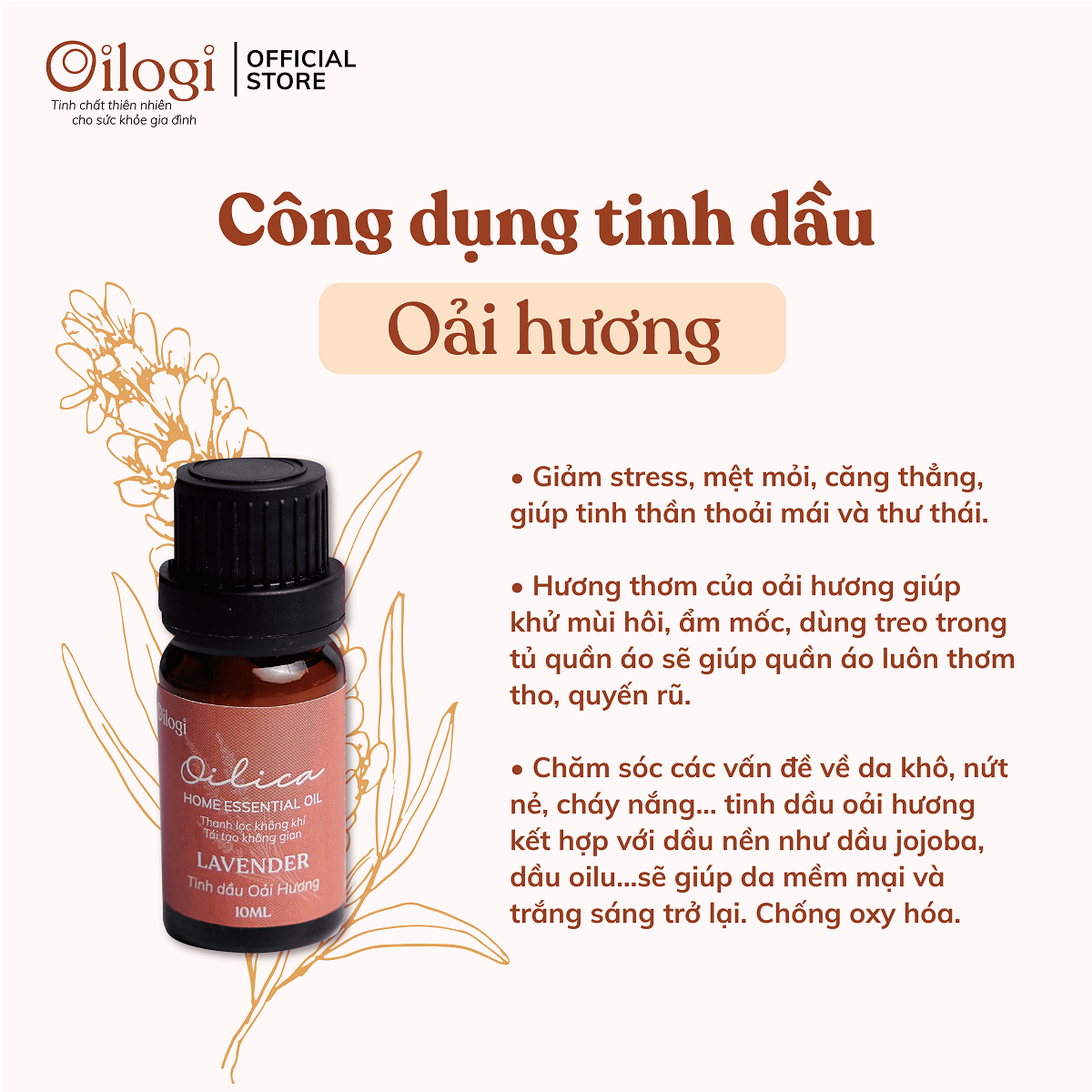 Tinh dầu Oải Hương Oilogi – Thư giãn, giải tỏa căng thẳng, mệt mỏi (chai 10ml)