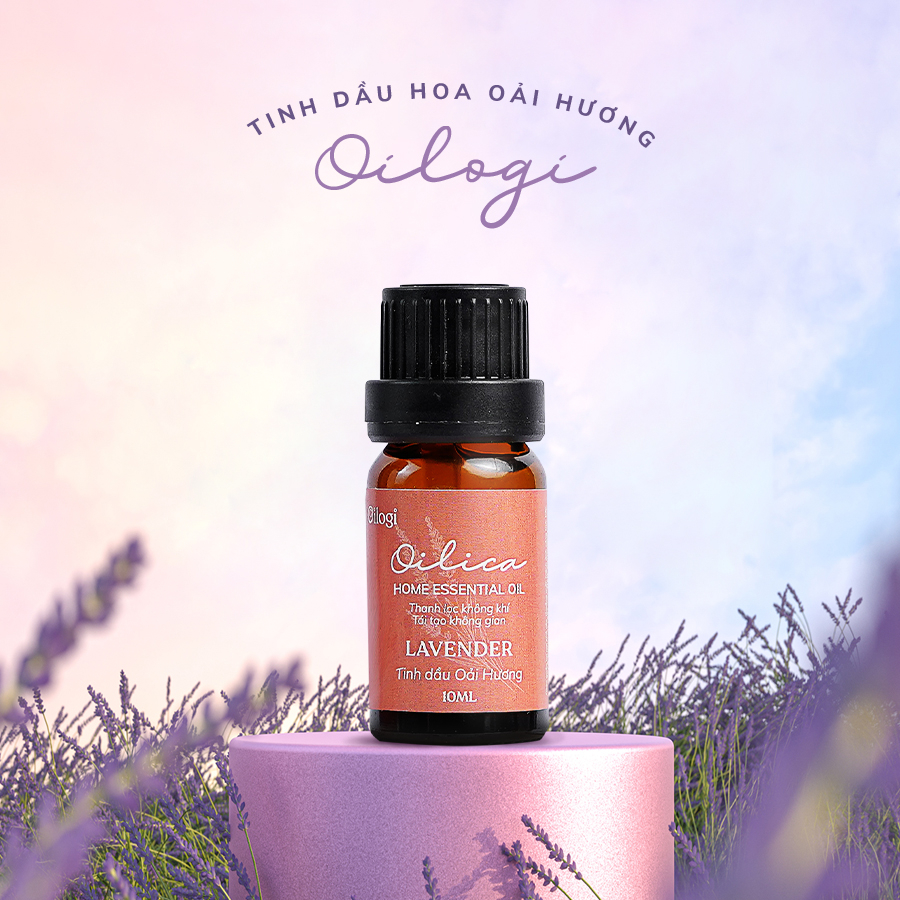 Tinh dầu Oải Hương Oilogi – Thư giãn, giải tỏa căng thẳng, mệt mỏi (chai 10ml)