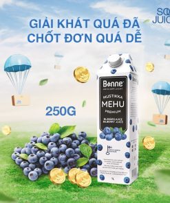 Nước ép quả việt quất rừng BONNE 1 lít