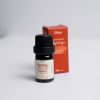 Tinh dầu Xông Giải Cảm Oilogi (chai 5ml)