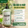 Dầu Gội Thảo Mộc Tóc Cài Hoa – Gội Xả 2 trong 1 C’Choi