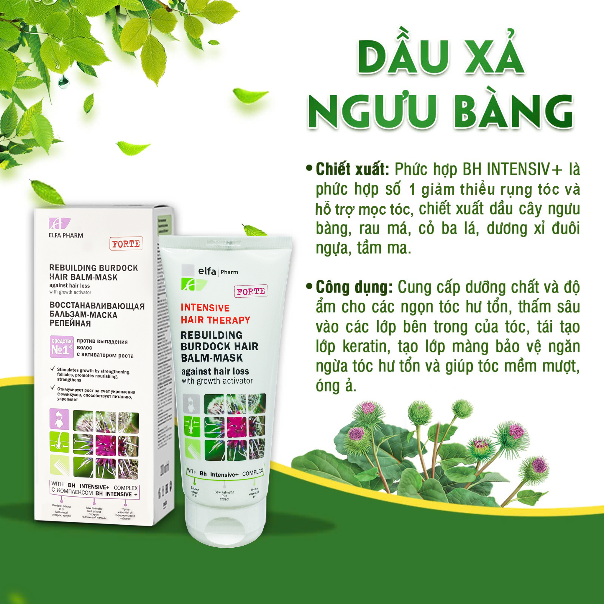 Dầu xả ngăn ngừa rụng tóc và hỗ trợ mọc tóc – Elfa Pharm (Chai 200ml)