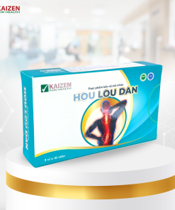 Viên uống Hou Lou Dan hỗ trợ giảm viêm khớp, thoái hóa khớp (30 viên)