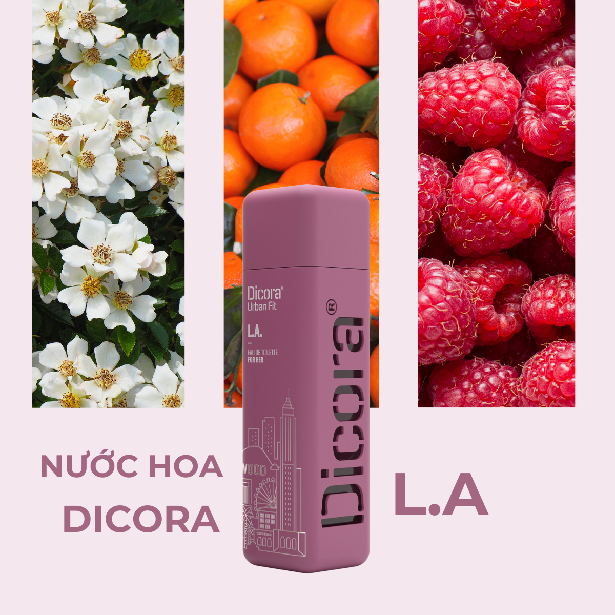 Nước hoa Dicora Urban Fit L.A. 100ml