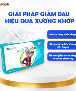 Viên uống Hou Lou Dan hỗ trợ giảm viêm khớp, thoái hóa khớp (30 viên)