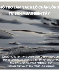 Mặt nạ bùn LUVUM Pore Reset Mud Mask giúp làm sạch thu nhỏ lỗ chân lông (hộp 5 miếng x 16g)