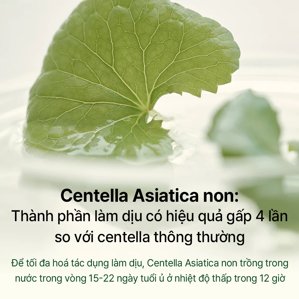 Mặt nạ thạch LUVUM Calming Repair Cica Gel Mask hỗ trợ làm dịu da (hộp 5 miếng x 33g)