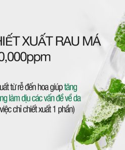 Mặt Nạ Rau Má Hạ Nhiệt -4.5 Độ Giảm Mụn & Làm Dịu Da Ửng Đỏ Cháy Nắng Cell Fusion C Cica Cooling Mask