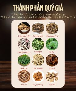 Ngâm chân thảo mộc dưỡng sinh Đông y AP Phú Hưng