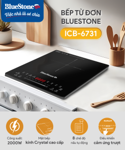 Bếp Từ Đơn BlueStone ICB-6731 2000W