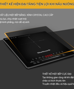 Bếp Từ Đơn BlueStone ICB-6731 2000W