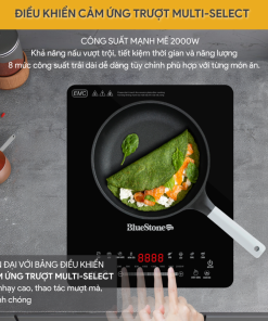 Bếp Từ Đơn BlueStone ICB-6731 2000W