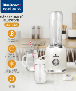 Máy Xay Sinh Tố BlueStone BLB-5308 300W