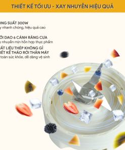 Máy Xay Sinh Tố BlueStone BLB-5308 300W
