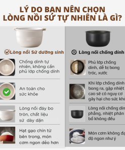 Nồi cơm điện sứ dưỡng sinh, nhãn hiệu Mishio Model MK381