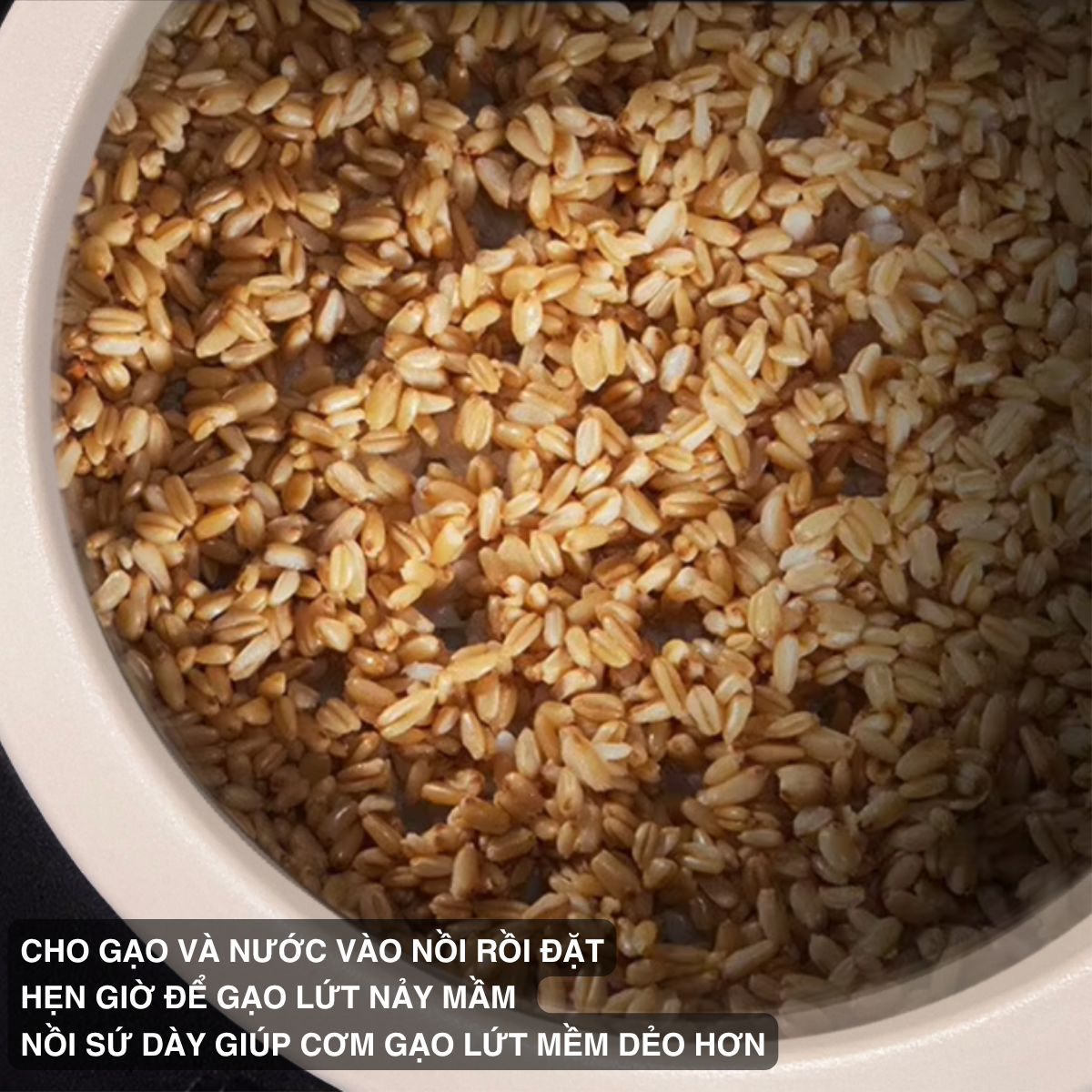 Nồi cơm điện sứ dưỡng sinh, nhãn hiệu Mishio Model MK381