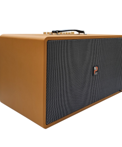 Loa Xách Tay Công Suất Lớn PS-28i