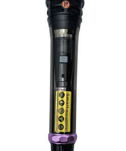 Loa Xách Tay Công Suất Lớn PS-28i