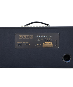 Loa Xách Tay Công Suất Lớn PS-28i