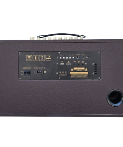 Loa Xách Tay Công Suất Lớn PS-28i