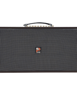 Loa Xách Tay Công Suất Lớn PS-28i